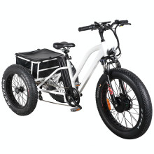 Best Price Three Wheel Electric Tricycle for Adults